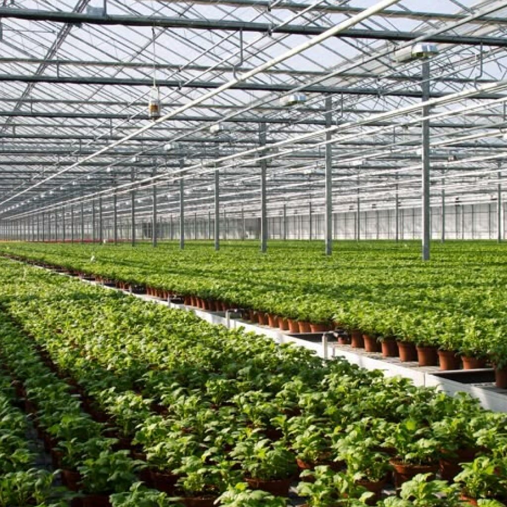 Greenhouse dalam Pertanian