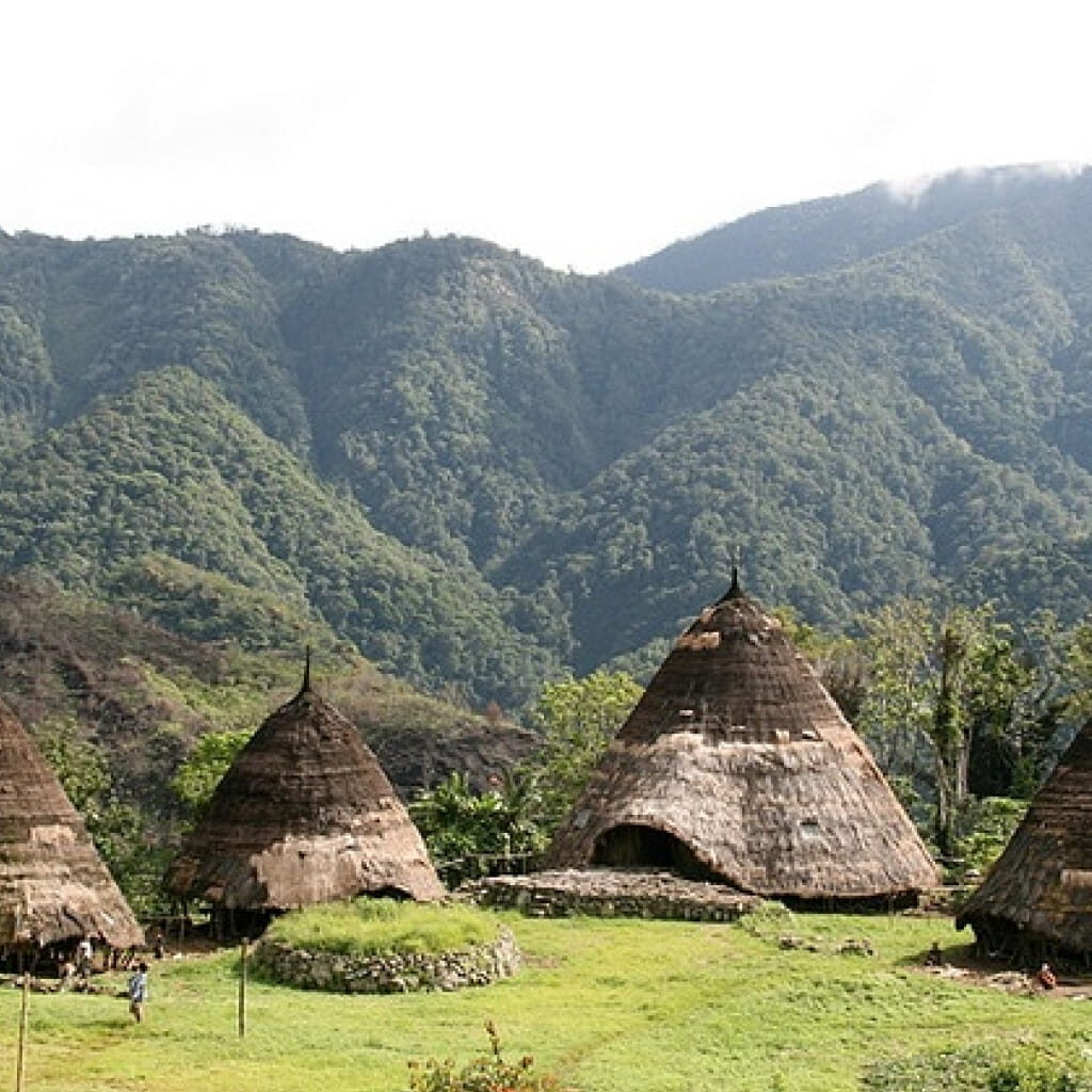 Rumah Musalaki dan Mbaru Niang (Nusa Tenggara Timur)