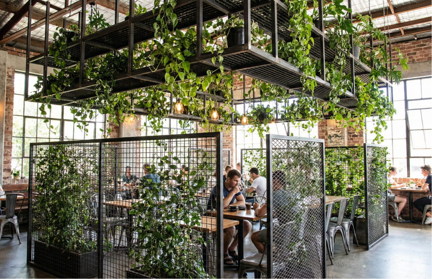 Biophilic Industrial